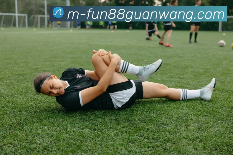 FUN88官网平台生态图